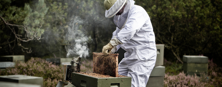 Swienty A/S alt til biavl. Bialvsmateriel og udstyr til honning- og bivoksforarbejdning